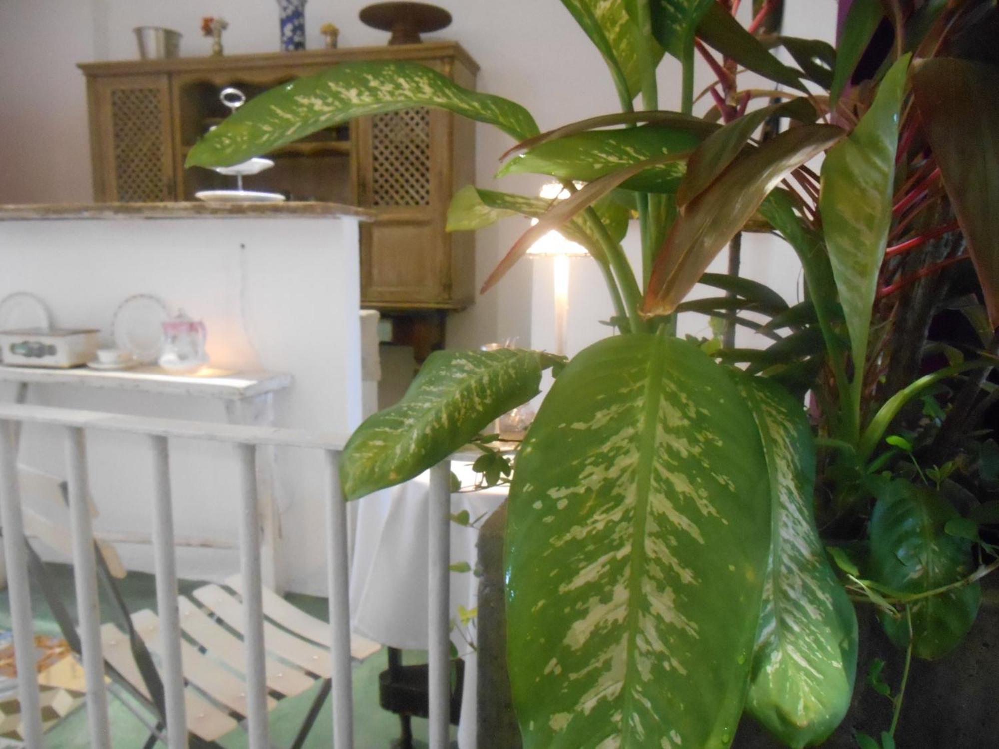 Solar Das Artes - Pousada Boutique Salvador Ngoại thất bức ảnh